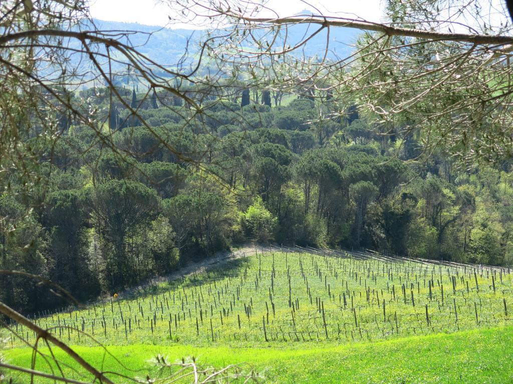 Agriturismo Il Palagetto Помаранче Экстерьер фото