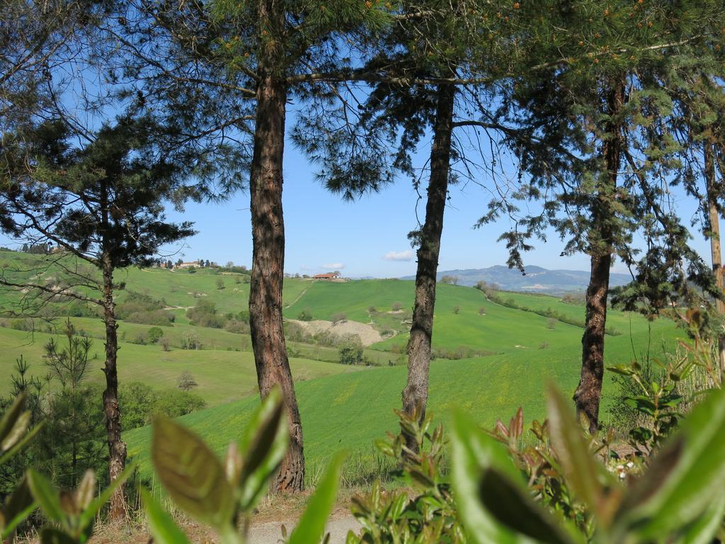 Agriturismo Il Palagetto Помаранче Экстерьер фото