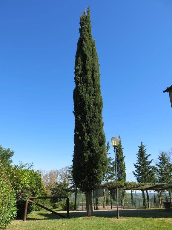 Agriturismo Il Palagetto Помаранче Экстерьер фото