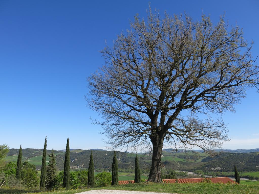 Agriturismo Il Palagetto Помаранче Экстерьер фото